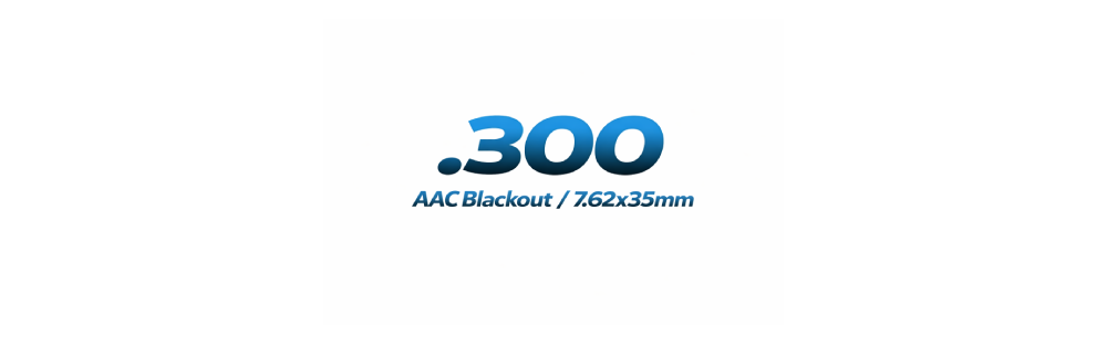 .300 Ammo Checkers